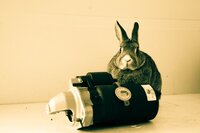 Achille Flore Autoricambi mascotte