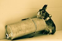 Achille Flore Autoricambi mascotte
