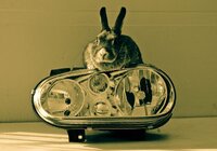 Achille Flore Autoricambi mascotte