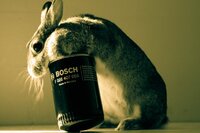 Achille Flore Autoricambi mascotte