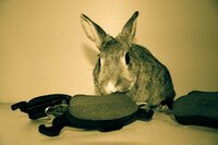 Achille Flore Autoricambi mascotte