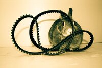 Achille Flore Autoricambi mascotte