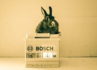 Achille Flore Autoricambi mascotte
